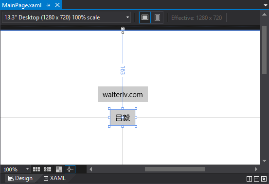 Visual Studio 设计器视图