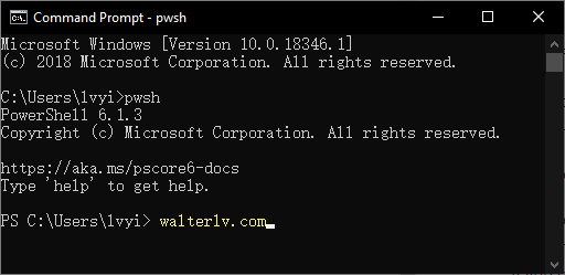 在 cmd 中启动 PowerShell Core