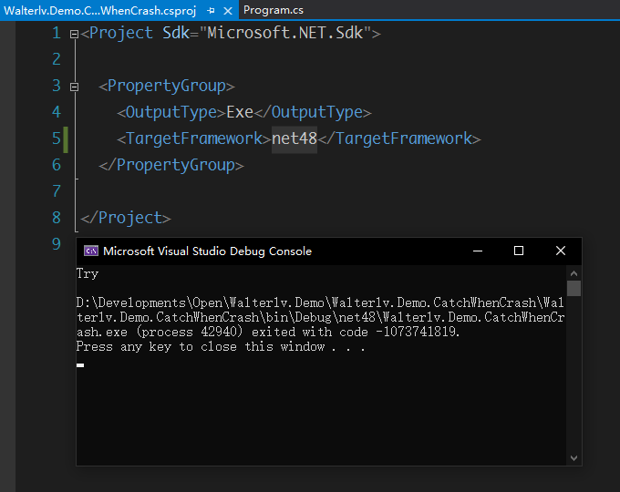 .NET Framework 4.8