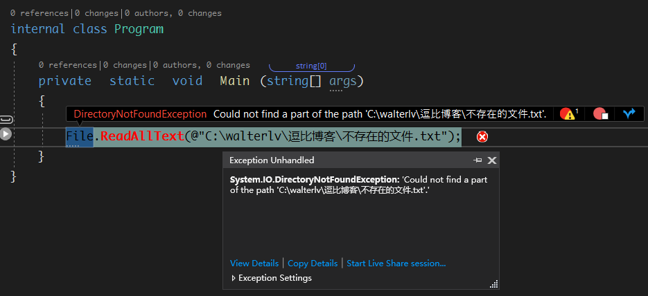 Visual Studio 异常中断