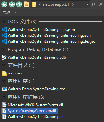 .NET Core 3.1 下输出的文件