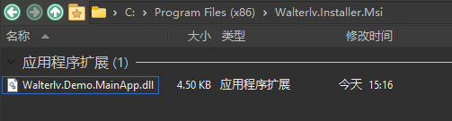 Program Files 文件夹